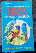 Load image into Gallery viewer, Golden | A Guide to Field Identification | Birds of North America