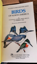 Load image into Gallery viewer, Golden | A Guide to Field Identification | Birds of North America