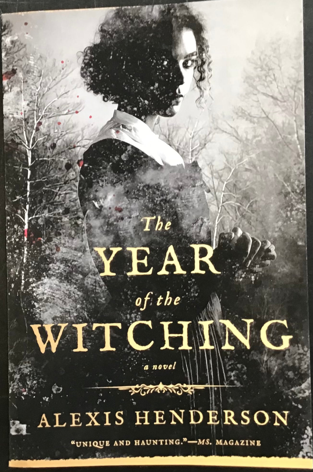 The Year of the Witching, Alexis Henderson