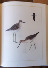 Load image into Gallery viewer, Waders of Southern Africa by Phil Hockey & Claire Douie