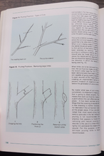 Load image into Gallery viewer, University of Alberta Woody Ornamentals for the Prairies by Hugh Knowles