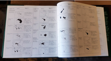 Load image into Gallery viewer, Ducks of the World by Janet Kear