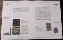 Load image into Gallery viewer, University of Alberta Woody Ornamentals for the Prairies by Hugh Knowles