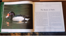 Load image into Gallery viewer, Ducks of the World by Janet Kear
