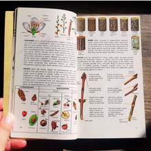 Load image into Gallery viewer, A Guide to Field Identification Trees of North America: A Golden Field Guide by C. Frank Brockman