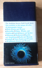 Load image into Gallery viewer, Audubon Society Field Guide to North American Seashore Creatures - 1987 - With Book Jacket