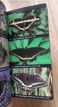 Load image into Gallery viewer, Audubon Society Field Guide to North American Butterflies - 1985 - with Book Jacket
