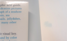 Load image into Gallery viewer, Audubon Society Field Guide to North American Seashore Creatures - 1987 - With Book Jacket