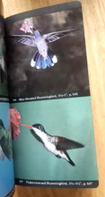 Load image into Gallery viewer, The Audubon Society Field Guide to North American Birds (Western Region) - with Book Jacket