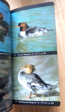 Load image into Gallery viewer, The Audubon Society Field Guide to North American Birds (Western Region) - with Book Jacket