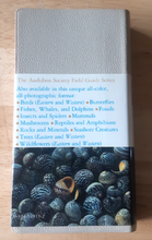 Load image into Gallery viewer, Audubon Society Field Guide to North American Seashells - 1986 - with Book Jacket