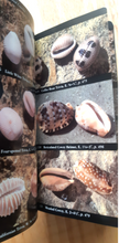 Load image into Gallery viewer, Audubon Society Field Guide to North American Seashells - 1986 - with Book Jacket