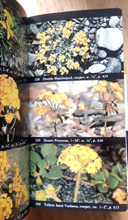 Load image into Gallery viewer, Vintage Audubon Society Field Guide to North American Flowers (Western Region) - 1988