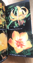 Load image into Gallery viewer, Vintage Audubon Society Field Guide to North American Flowers (Western Region) - 1988