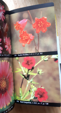 Load image into Gallery viewer, Vintage Audubon Society Field Guide to North American Flowers (Western Region) - 1988
