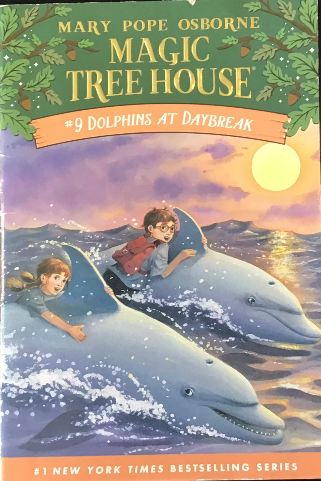 Magic Tree House- Mary Pope Osborne