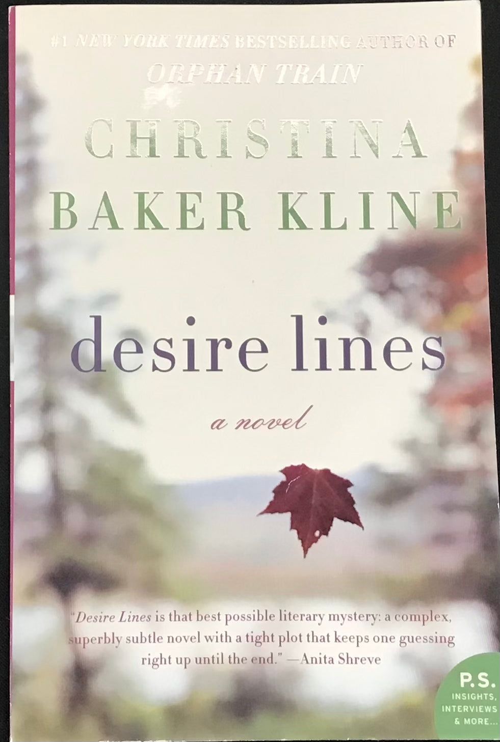 Desire Lines- Christina Baker Kline