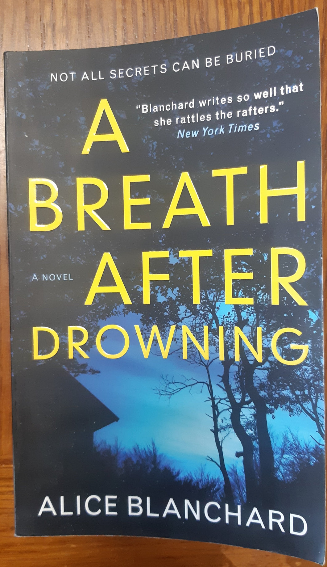 A Breath After Drowning, Alice Blanchard