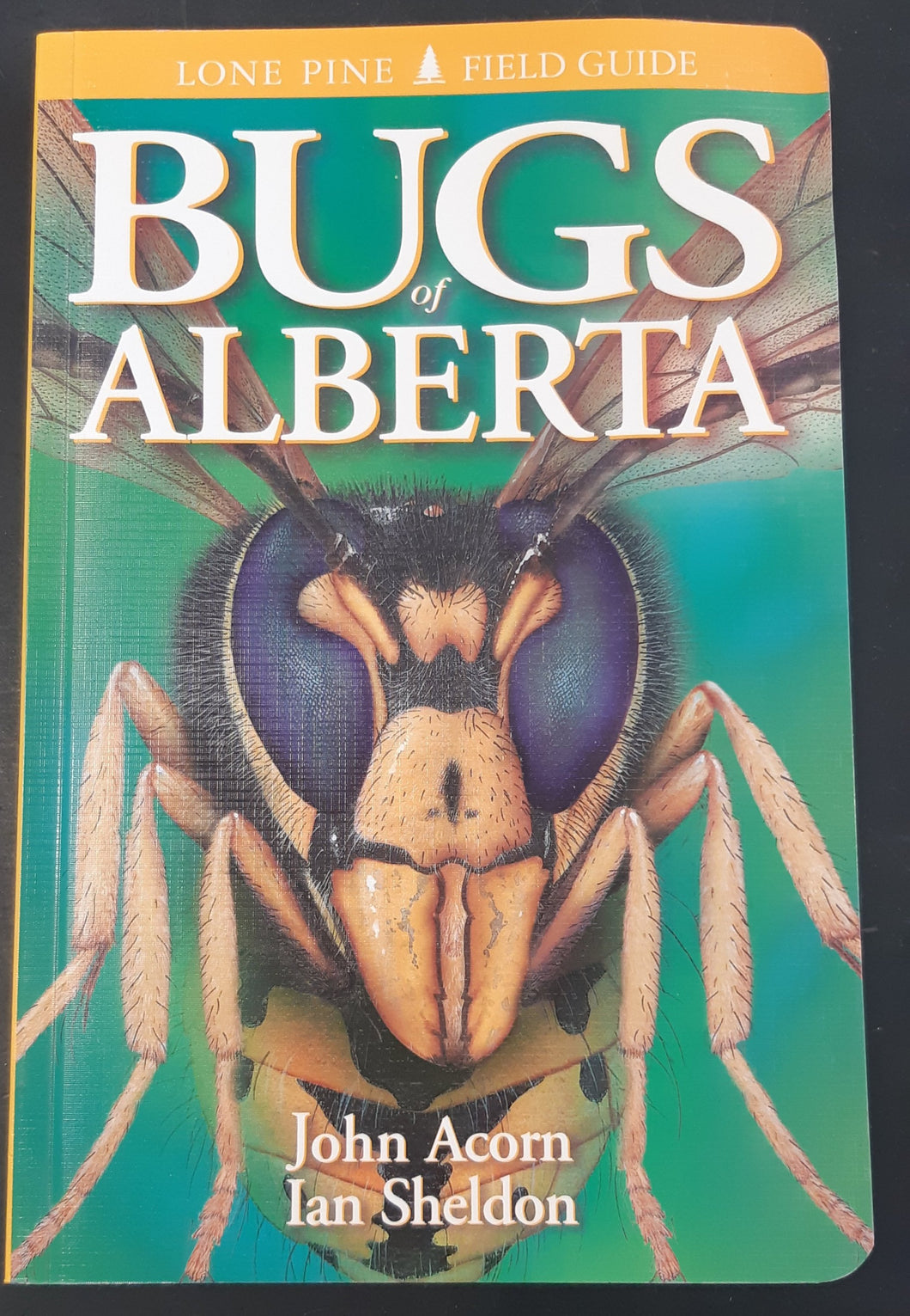 Bugs of Alberta by John Acorn and Ian Sheldon