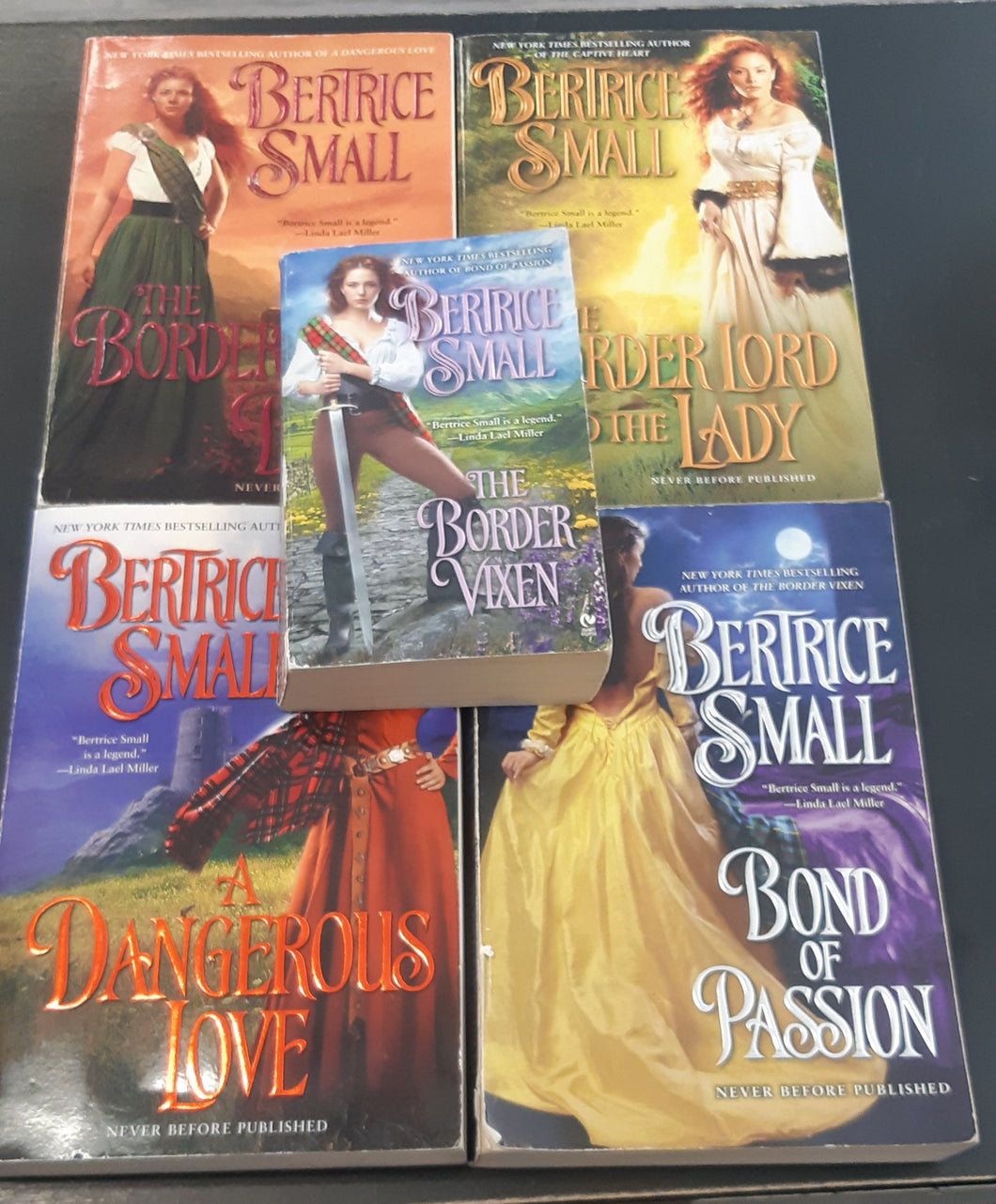 Bertrice Small - The Border Lords Series Books - Set of 5