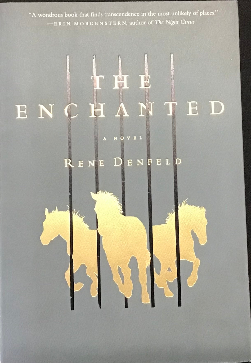 The Enchanted- Rene Denfeld