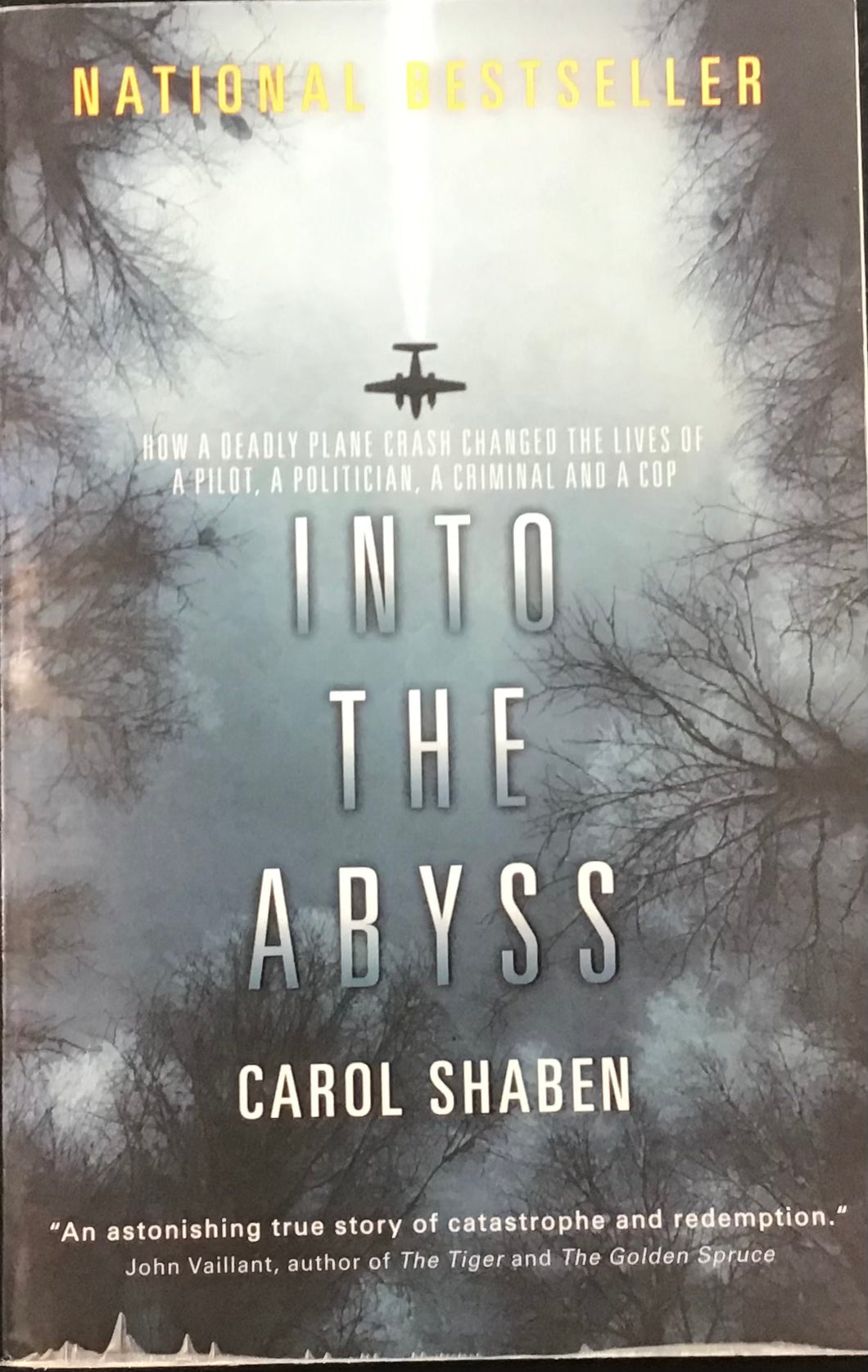 Into The Abyss, Carol Shaben