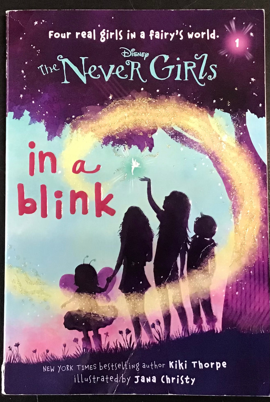 The Never Girls- Disney