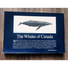 Load image into Gallery viewer, Whale Watching Pack! Set of 3 Books
