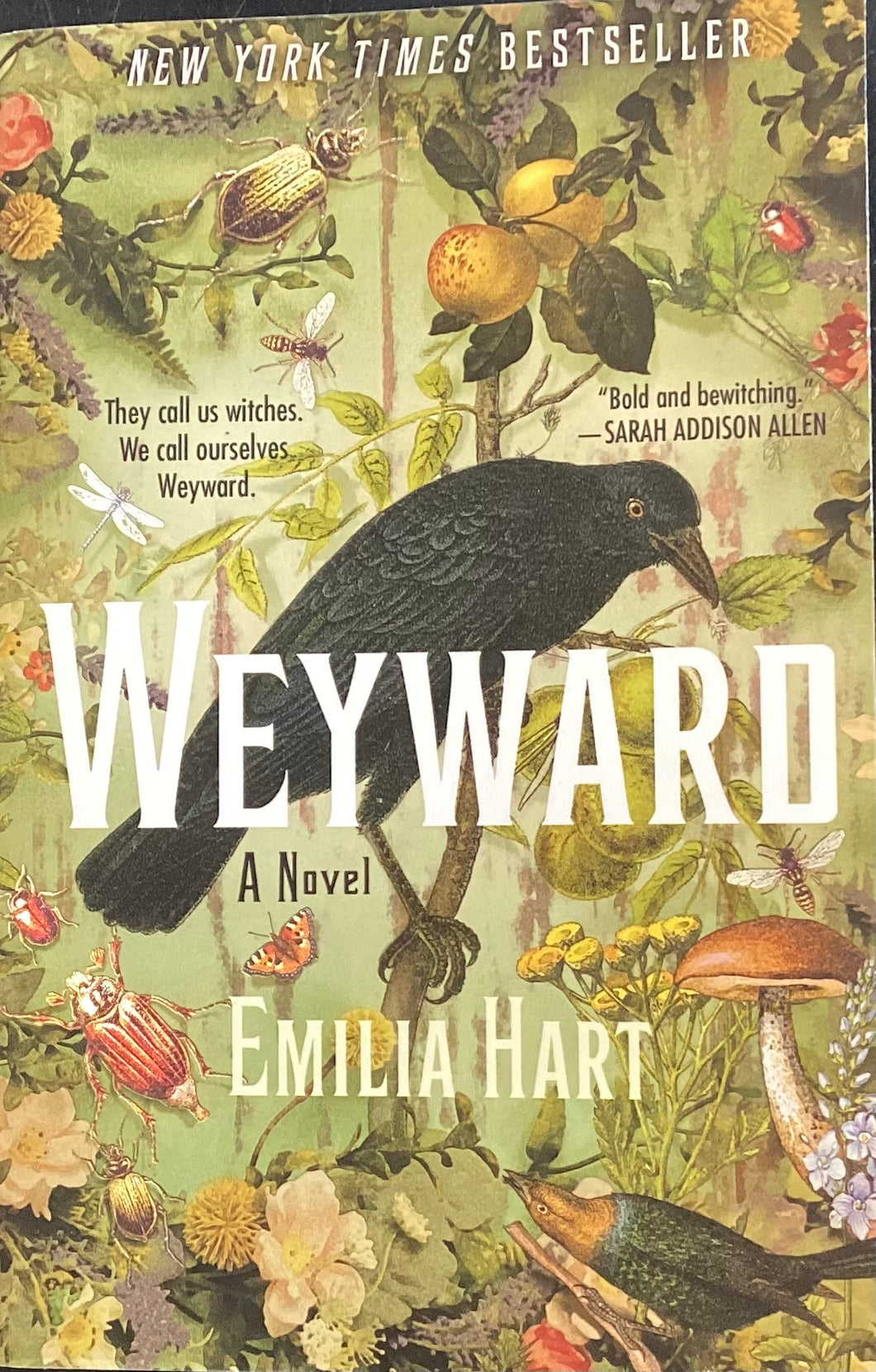 Weyward, Emilia Hart