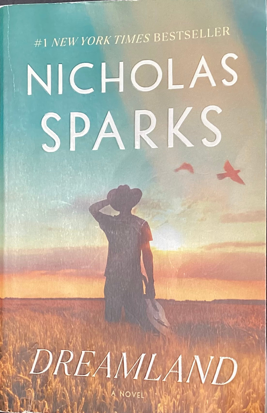 Dreamland, Nicholas Sparks