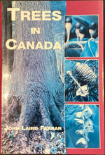 Load image into Gallery viewer, Trees in Canada by John Laird Farrar
