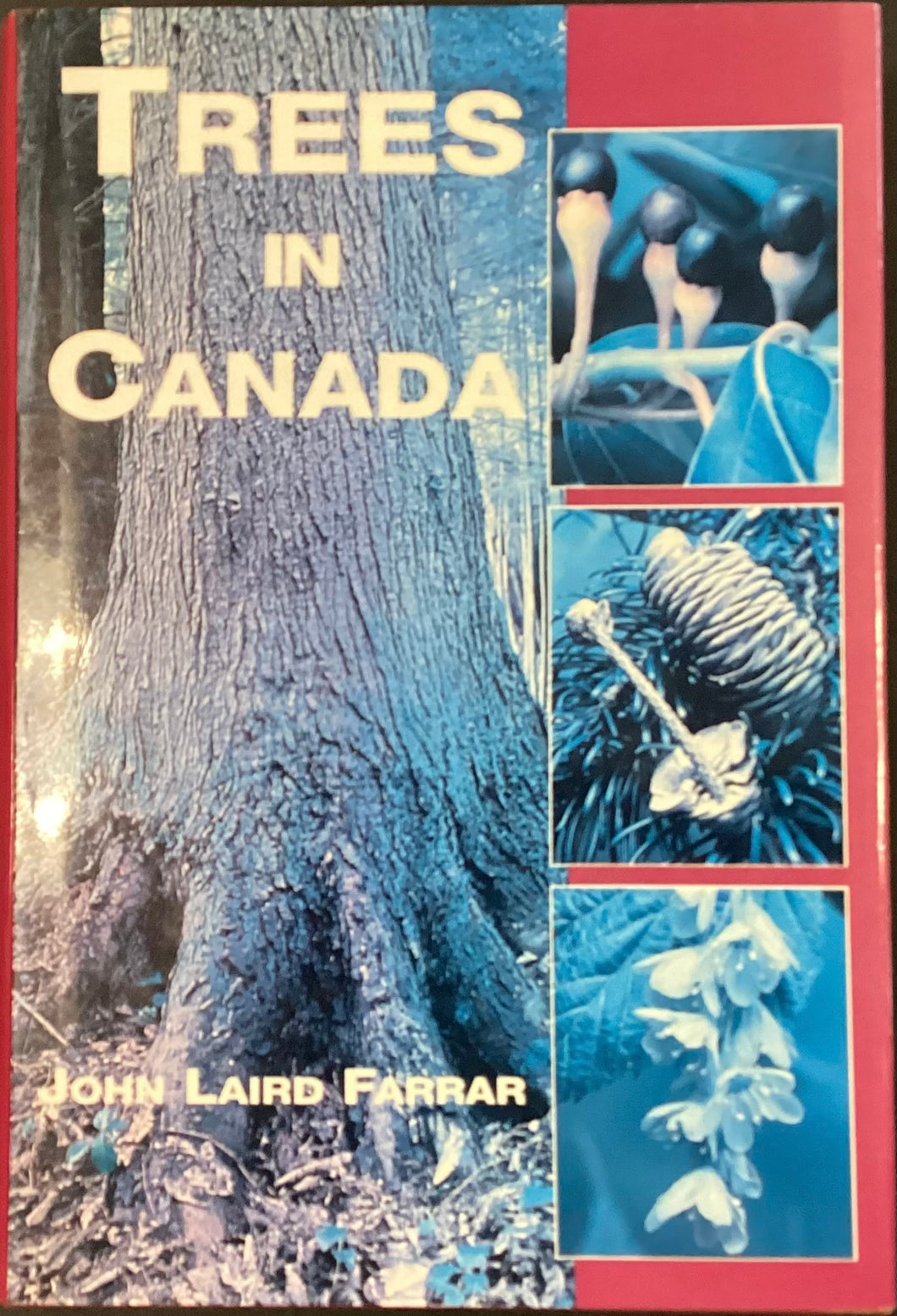 Trees in Canada by John Laird Farrar