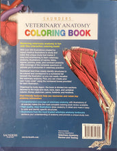 Load image into Gallery viewer, Saunders Veterinary Anatomy Coloring Book, Baljit Singh
