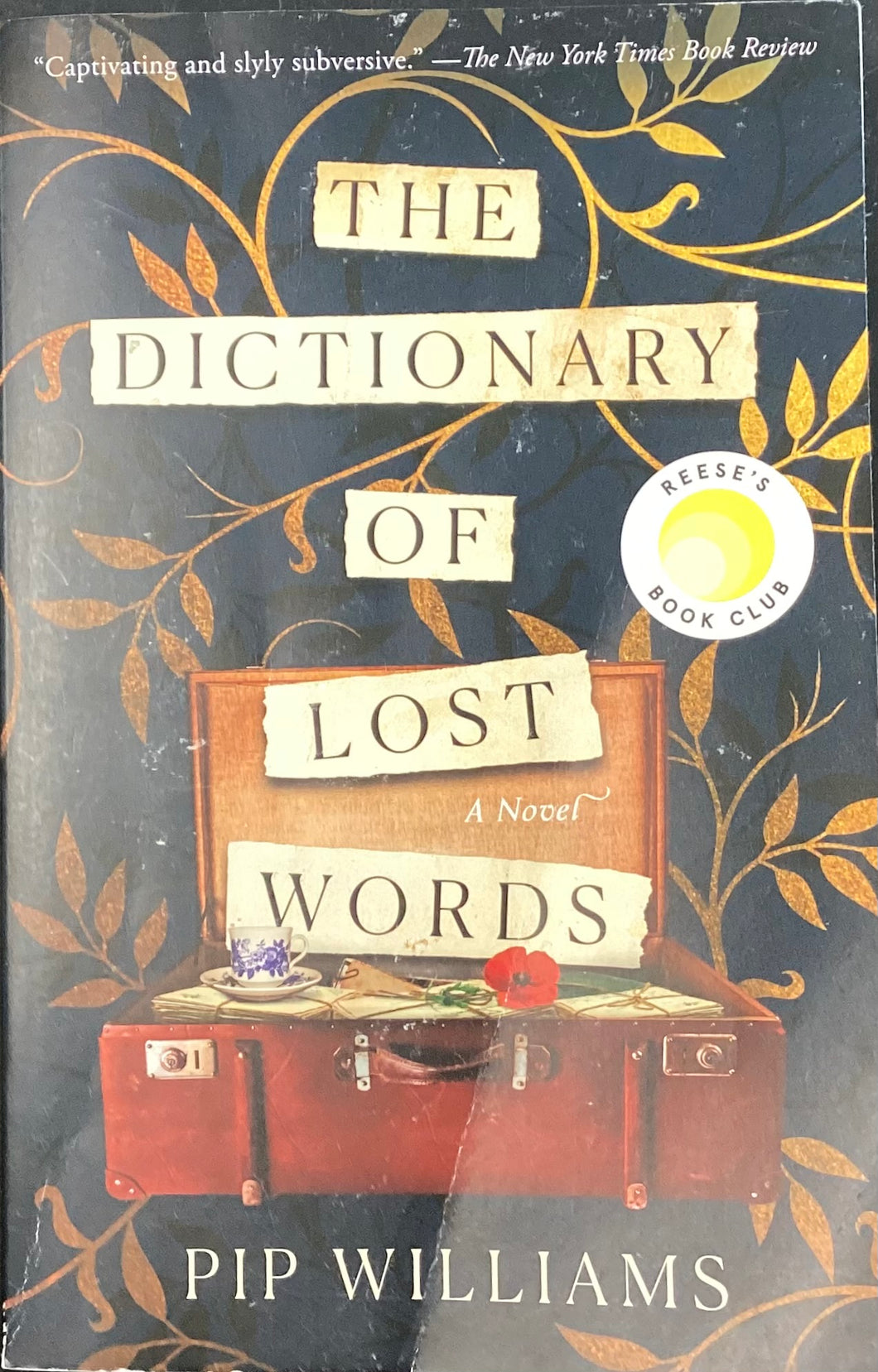 The Dictionary of Lost Words- Pip Williams
