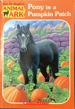 Load image into Gallery viewer, Pony In a pumpkin Patch, Ben M. Baglio
