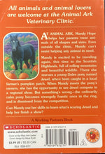 Load image into Gallery viewer, Pony In a pumpkin Patch, Ben M. Baglio
