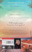 Load image into Gallery viewer, Holiday In The Hamptons, Sarah Morgan
