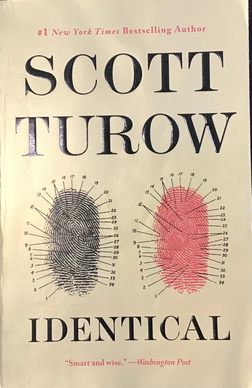Identical, Scott Turow