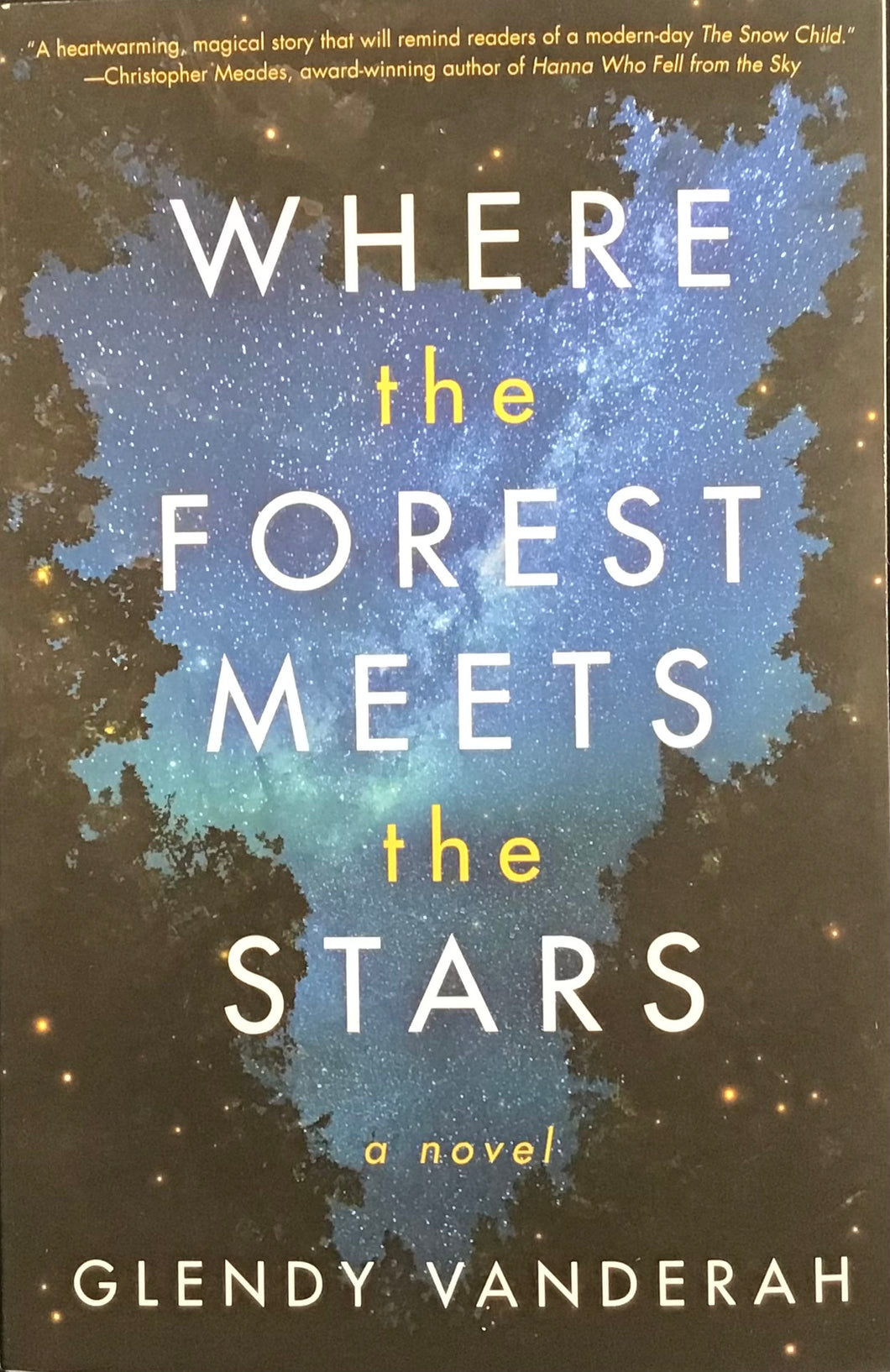 Where the Forest Meets The Stars, Glendy Vanderah