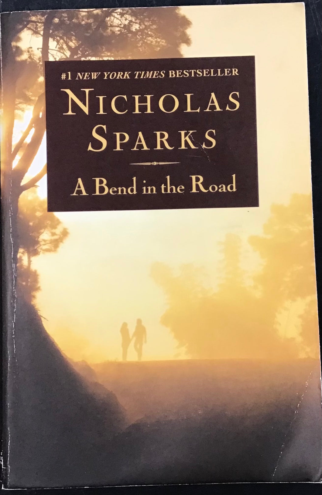 A Bend in the Road, Nicholas Sparks