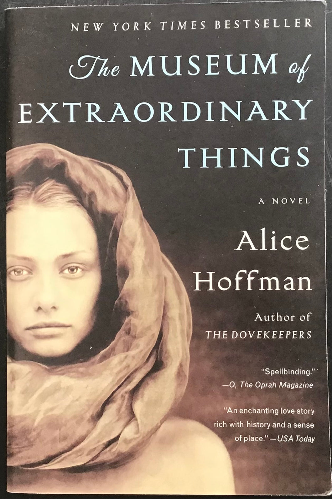 The Museum of Extraordinary Things, Alice Hoffman