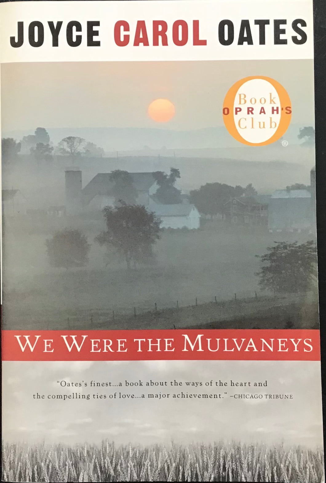 We Were The Mulvaneys, Joyce Carol Oates