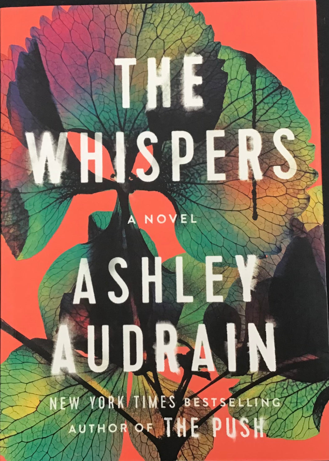 The Whispers, Ashley Audrain