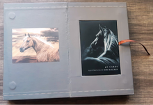 Load image into Gallery viewer, Way of the Horse: Equine Archetypes for Self-Discovery by Linda Kohanov
