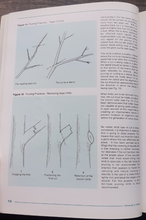 Load image into Gallery viewer, University of Alberta Woody Ornamentals for the Prairies by Hugh Knowles
