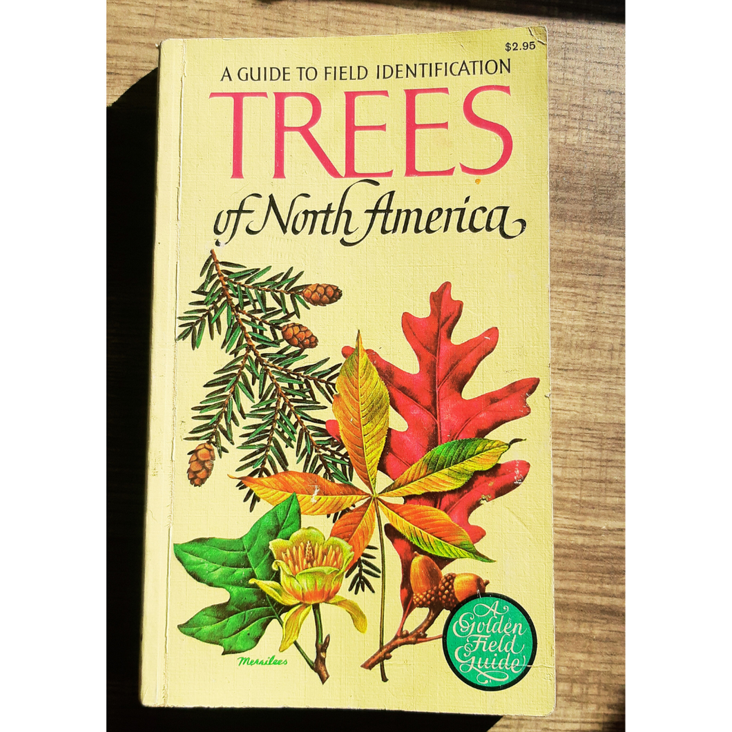 A Guide to Field Identification Trees of North America: A Golden Field Guide by C. Frank Brockman