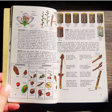 Load image into Gallery viewer, A Guide to Field Identification Trees of North America: A Golden Field Guide by C. Frank Brockman
