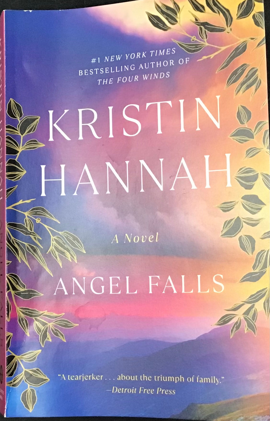 Angel Falls, Kristin Hannah