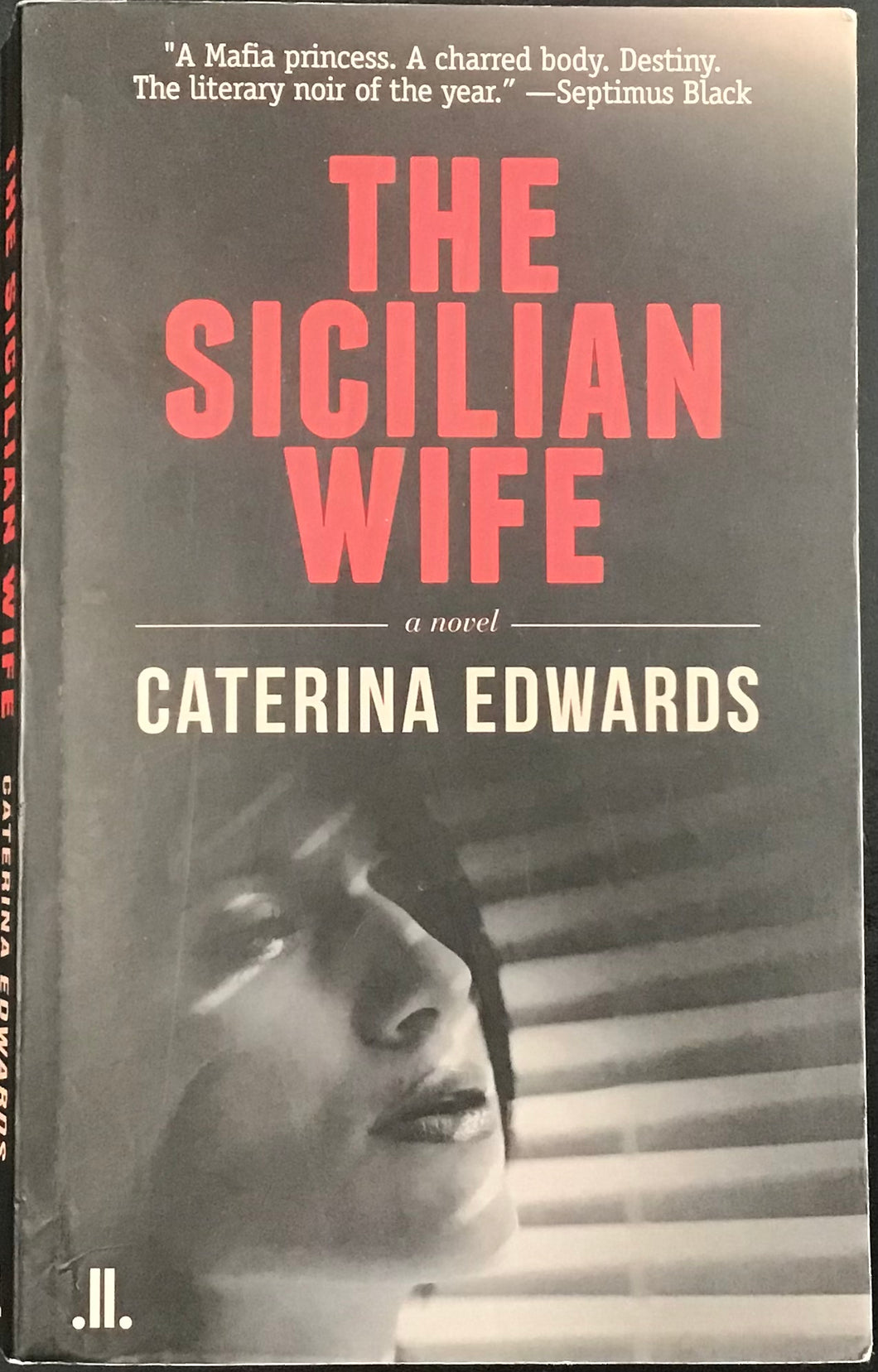 The Sicilian Wife, Caterina Edwards