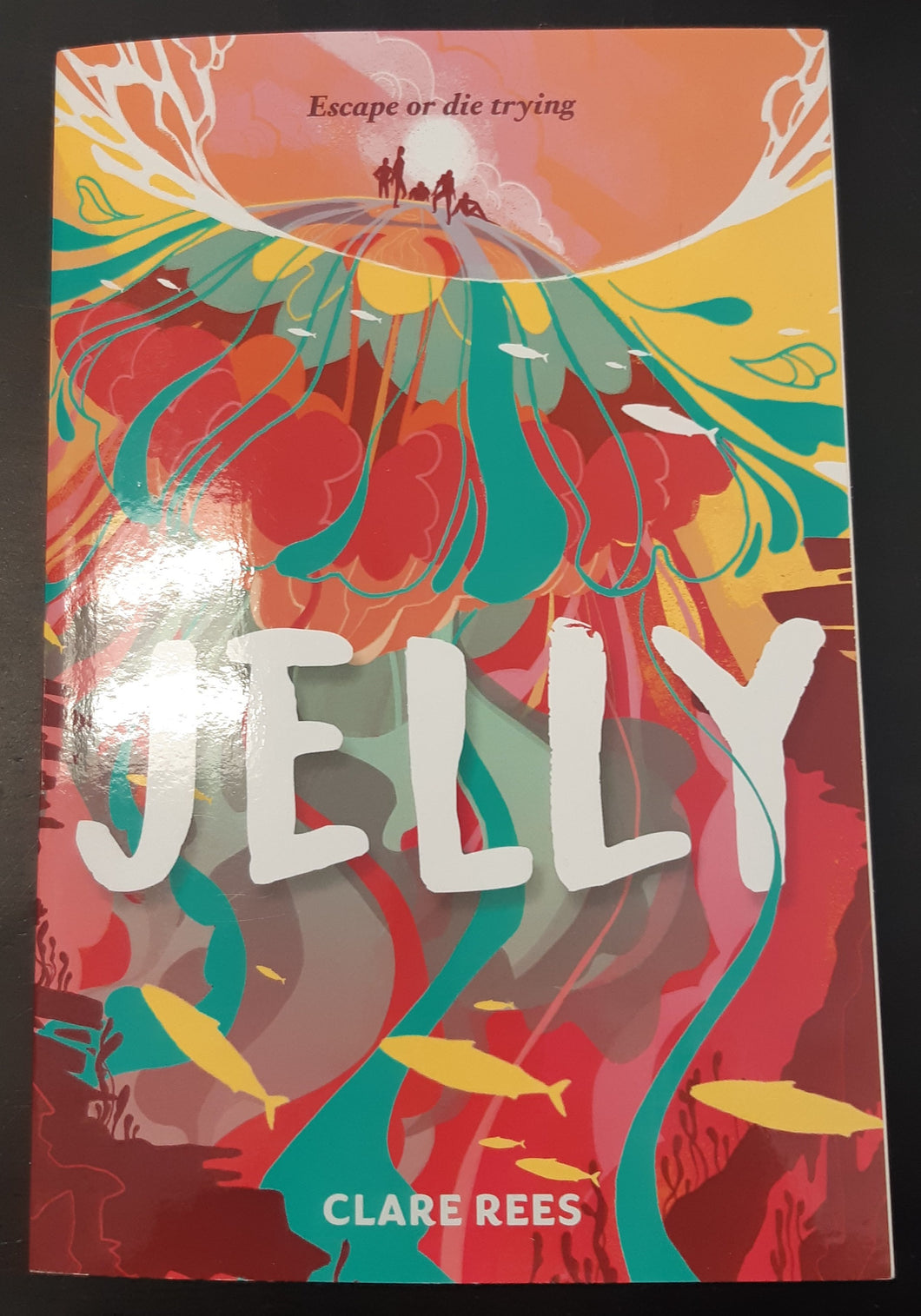 Jelly by Clare Rees